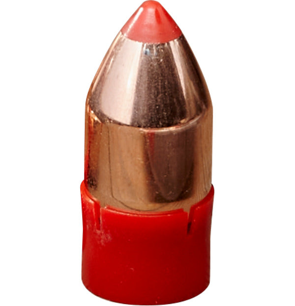HORNADY .50 CAL 290GR BORE DRIVER FTX