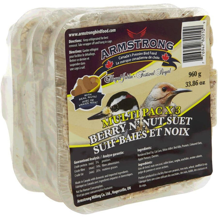 Armstrong Fruit & Nut Suet Cakes Bird Food, 312 g, 3 Pack