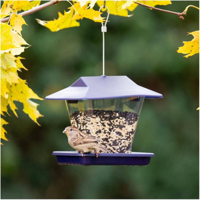 More Birds Ranch Hopper Bird Feeder, 1.6 lb Capacity